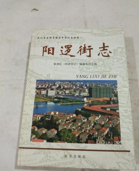 老街印象 小城小记之八 红榜作家陈一龙（图4）
