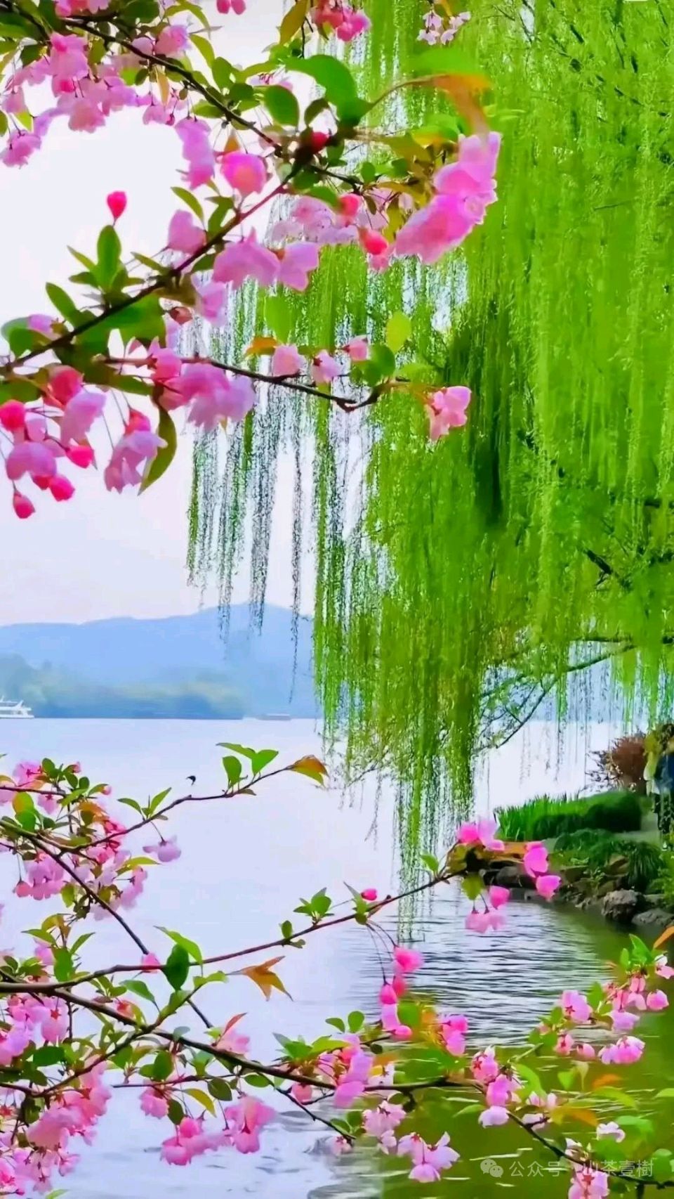 【神州源流诗苑】第1476期优秀近体诗周刊