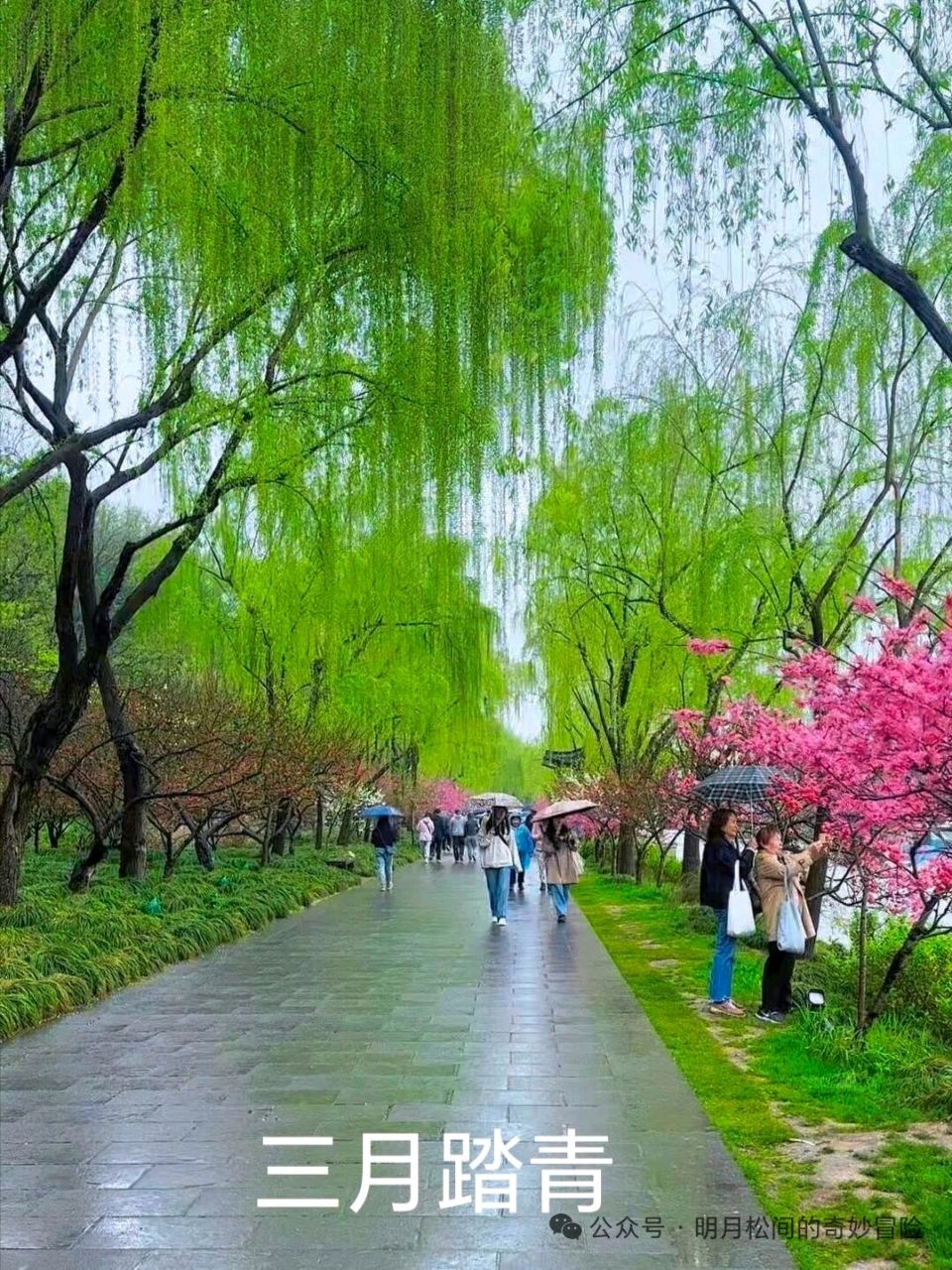 【神州源流诗苑】第1476期优秀近体诗周刊(图12)