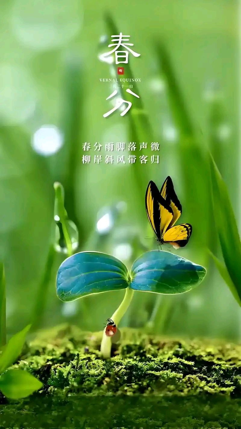 【新山东文学社】《忆秦娥.春来早(四首)》作者/风鸽 主播/天空(图3)