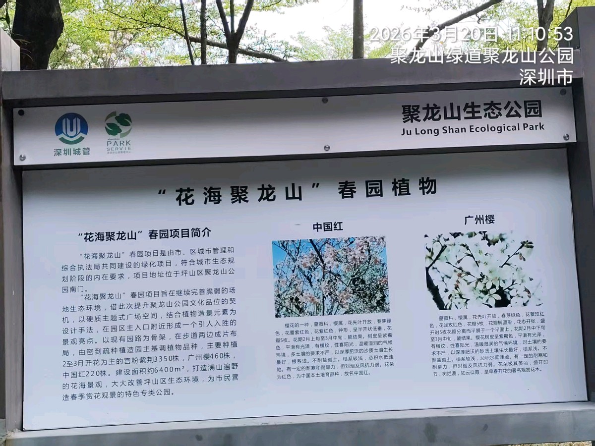 三元七绝诗~聚龙山/詹成（图2）