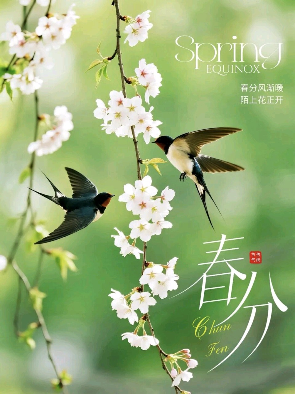 张俏林（山西太原）七律·春分吟（图6）