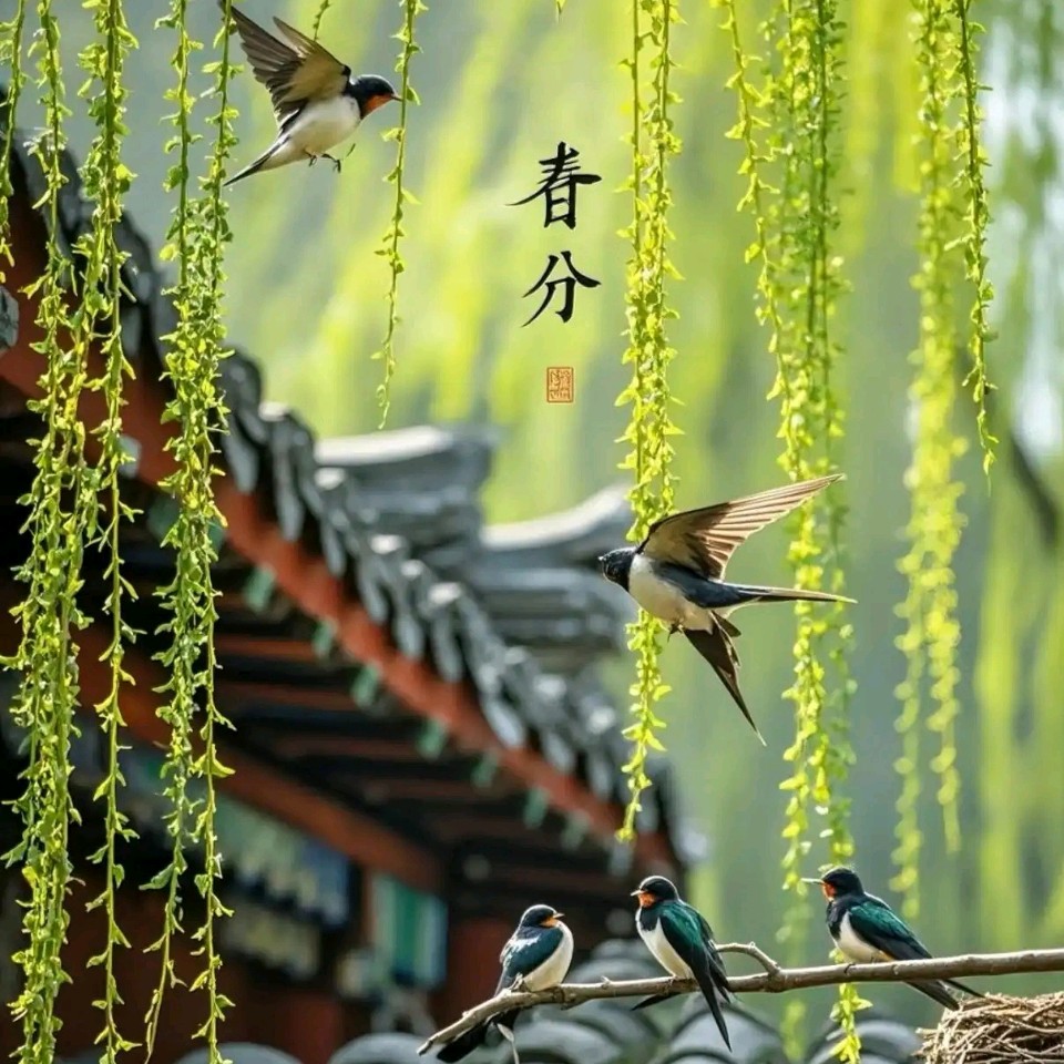 春分邂逅二月二（作者:高军）（图2）
