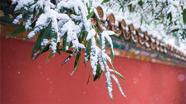 今日小雪（图2）