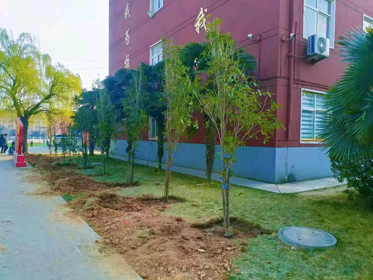 韩石华:捐赠树苗美化校园