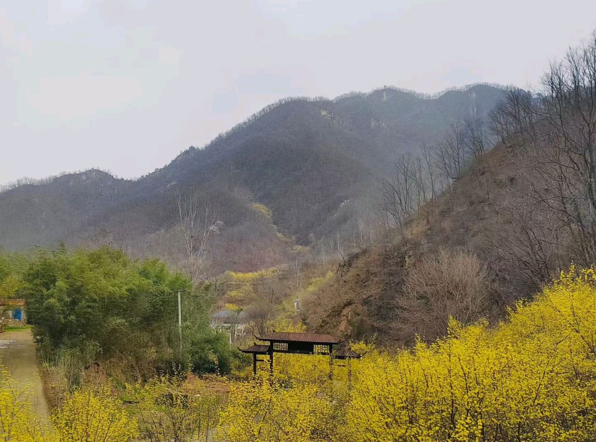早春行（外二首）