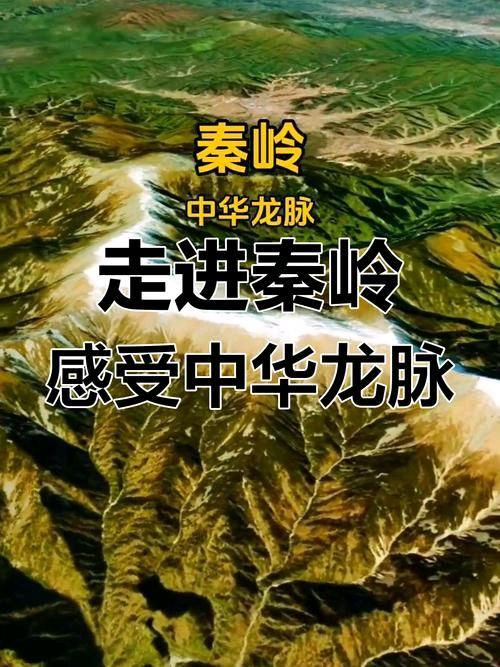 【学习随笔】张富贵：巍巍秦岭，国之龙脉，依法护之（散文）北京头条•西安头条•都市头条发布！（图11）