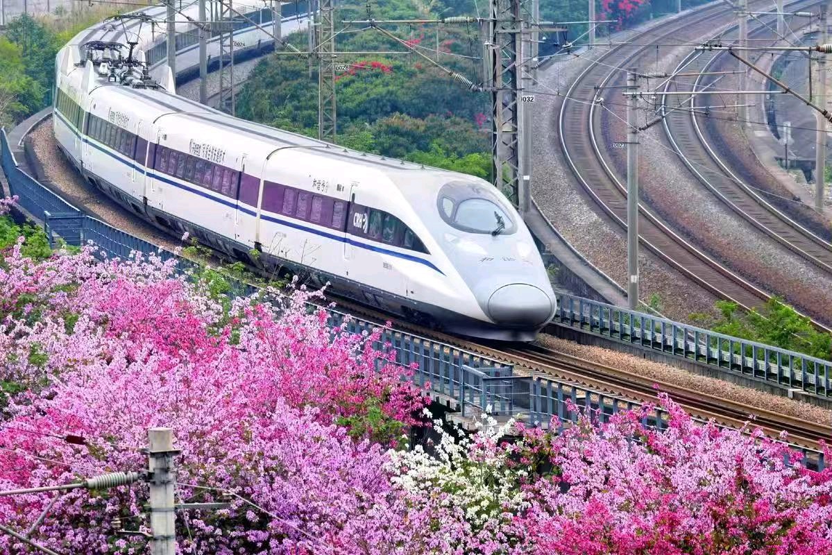 【上海头条】古韵飘香第302期：看图写诗（图3）