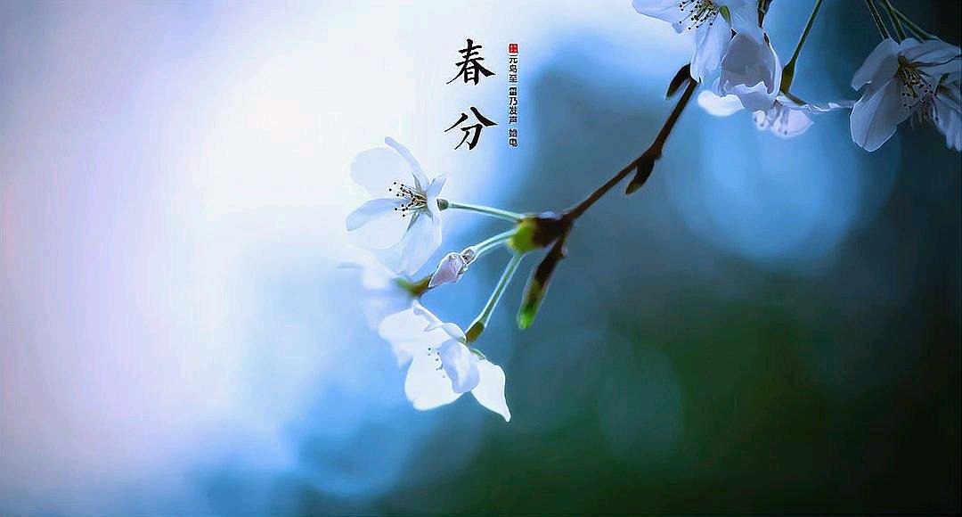 《🇨🇳中国人民诗刊》《中国人民诗社》(第4028期）百花齐放:姹紫嫣红（图6）