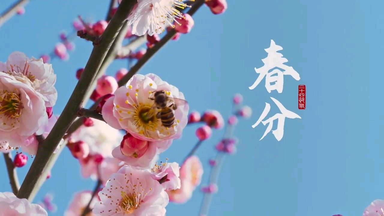 《🇨🇳中国人民诗刊》《中国人民诗社》(第4028期）百花齐放:姹紫嫣红（图7）