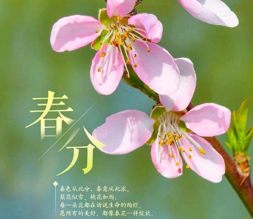 【散文】《昼夜均而天地和: 春分的古意与新声》 作者: 强军/陕西宝鸡(图2)