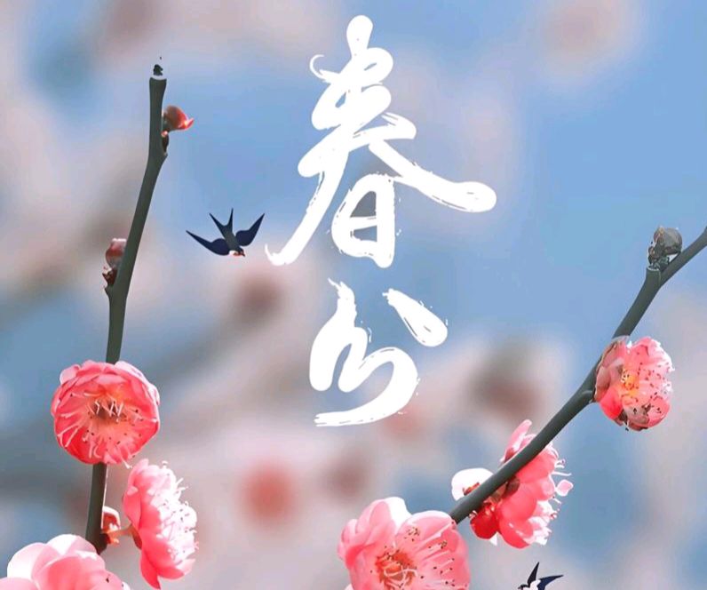 【散文】《昼夜均而天地和: 春分的古意与新声》 作者: 强军/陕西宝鸡(图9)