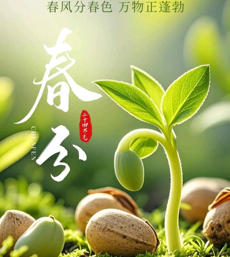 【散文】《昼夜均而天地和: 春分的古意与新声》 作者: 强军/陕西宝鸡(图12)