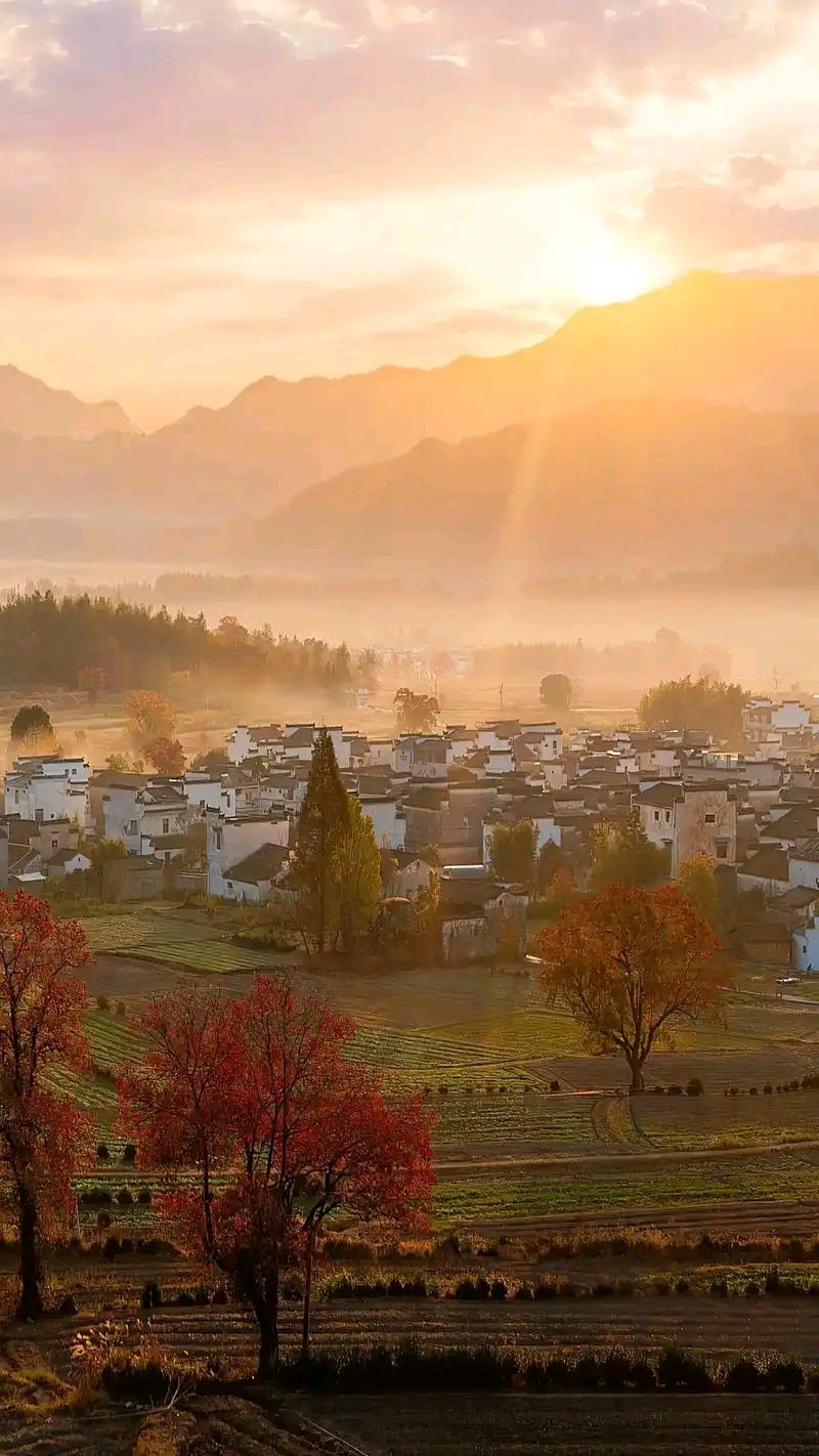 风霜～方栋（安徽）（图12）