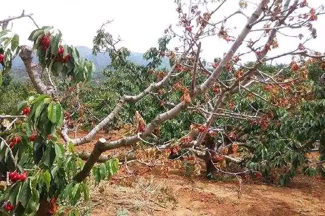 风霜～方栋（安徽）（图11）