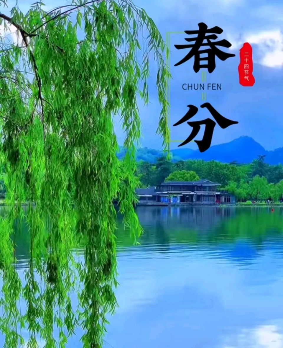 【荣耀中国】文学社*喜雨文/魏敏（图3）