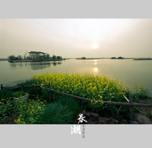 草原雄鹰诗社2026第8期精美小诗作品展播《春潮》作者/草原雄鹰诗社诗人——诵读/焦丽萍（图14）