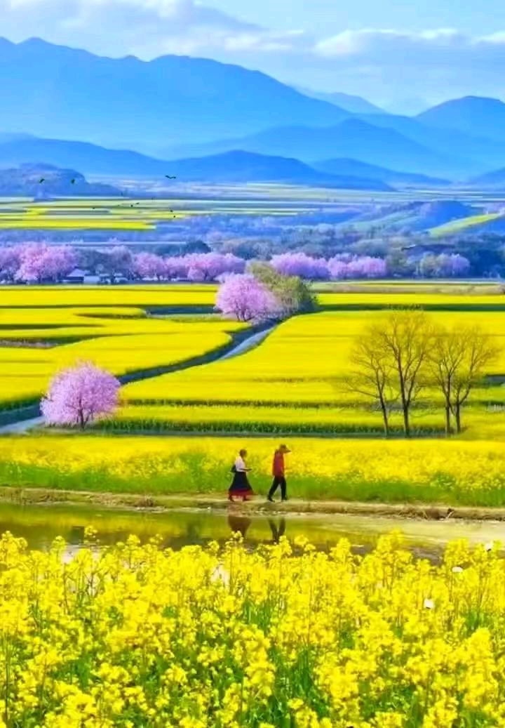 【荣耀中国】文学社*七绝 . 最美时节三月天（新韵）丁启连/山东（图5）