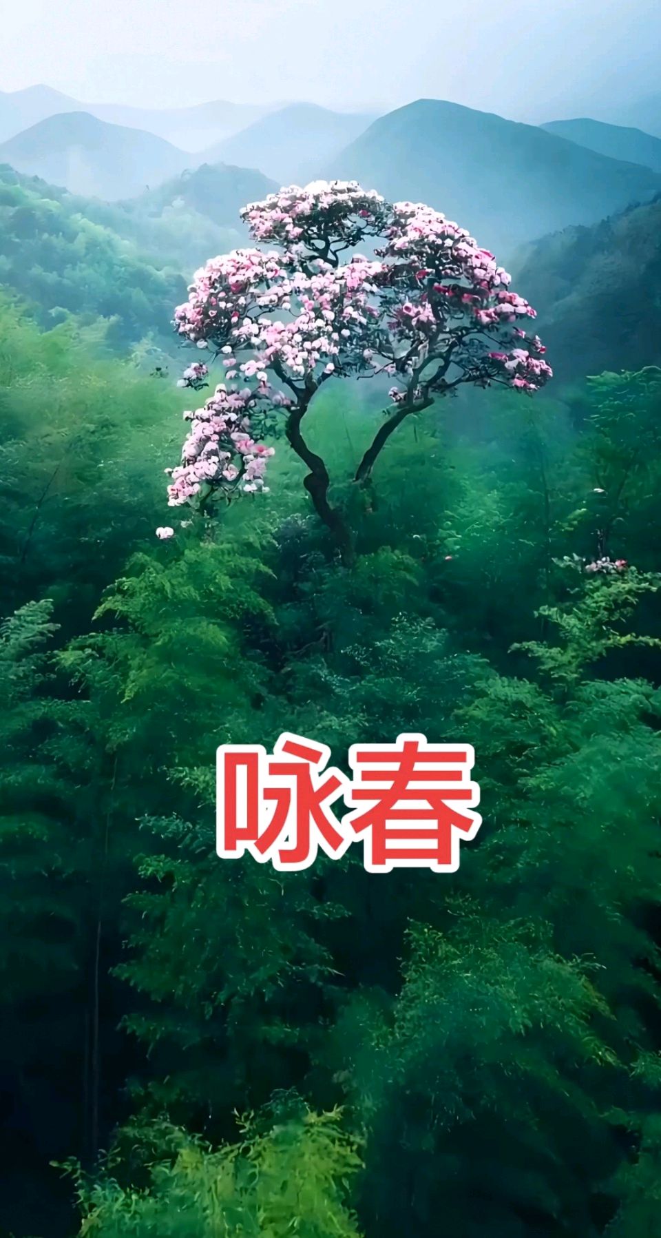 咏春～吴永良（辽宁）（图11）