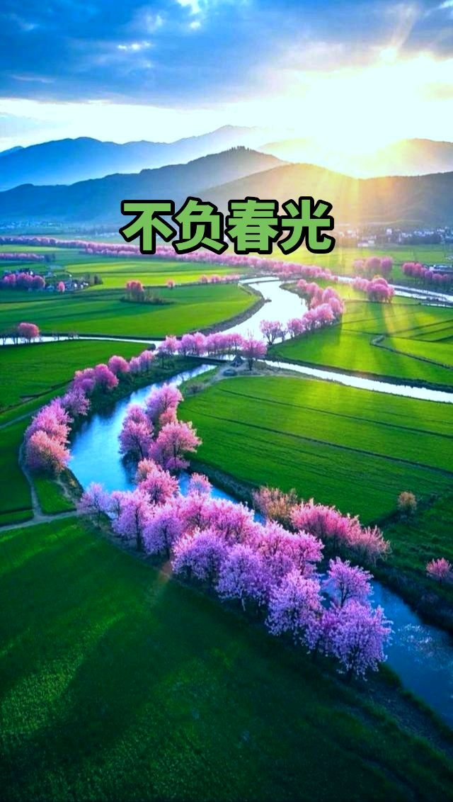 咏春～吴永良（辽宁）（图12）
