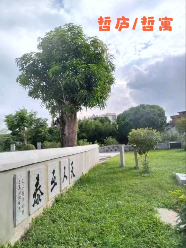 “天人互泰”的双向奔赴