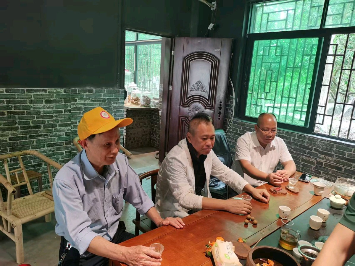 联机全球发布谢瑛中作品欣赏(图9)