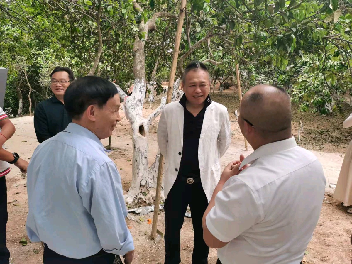 联机全球发布谢瑛中作品欣赏(图8)