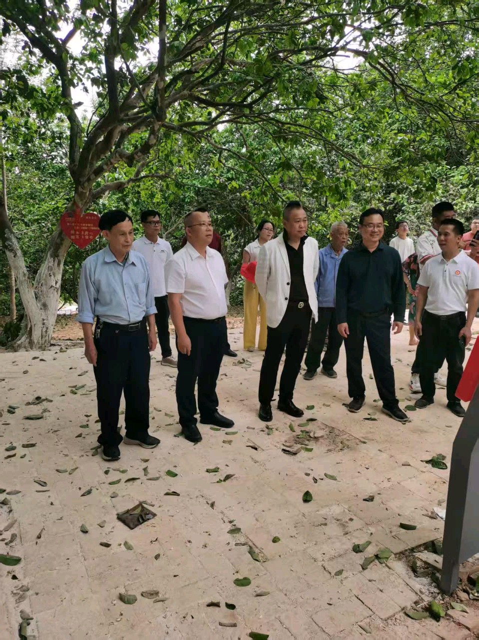 联机全球发布谢瑛中作品欣赏(图7)