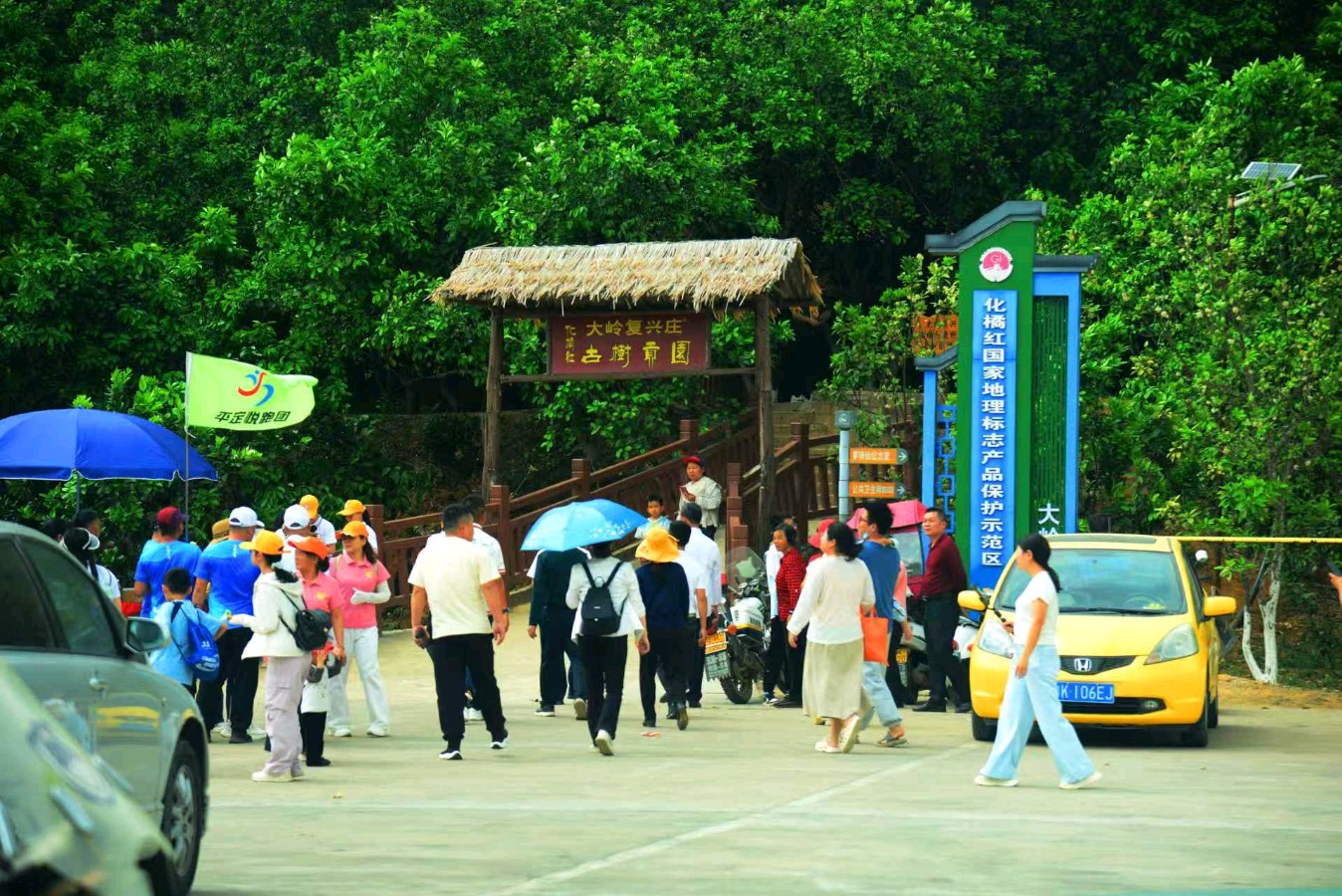 联机全球发布谢瑛中作品欣赏(图24)