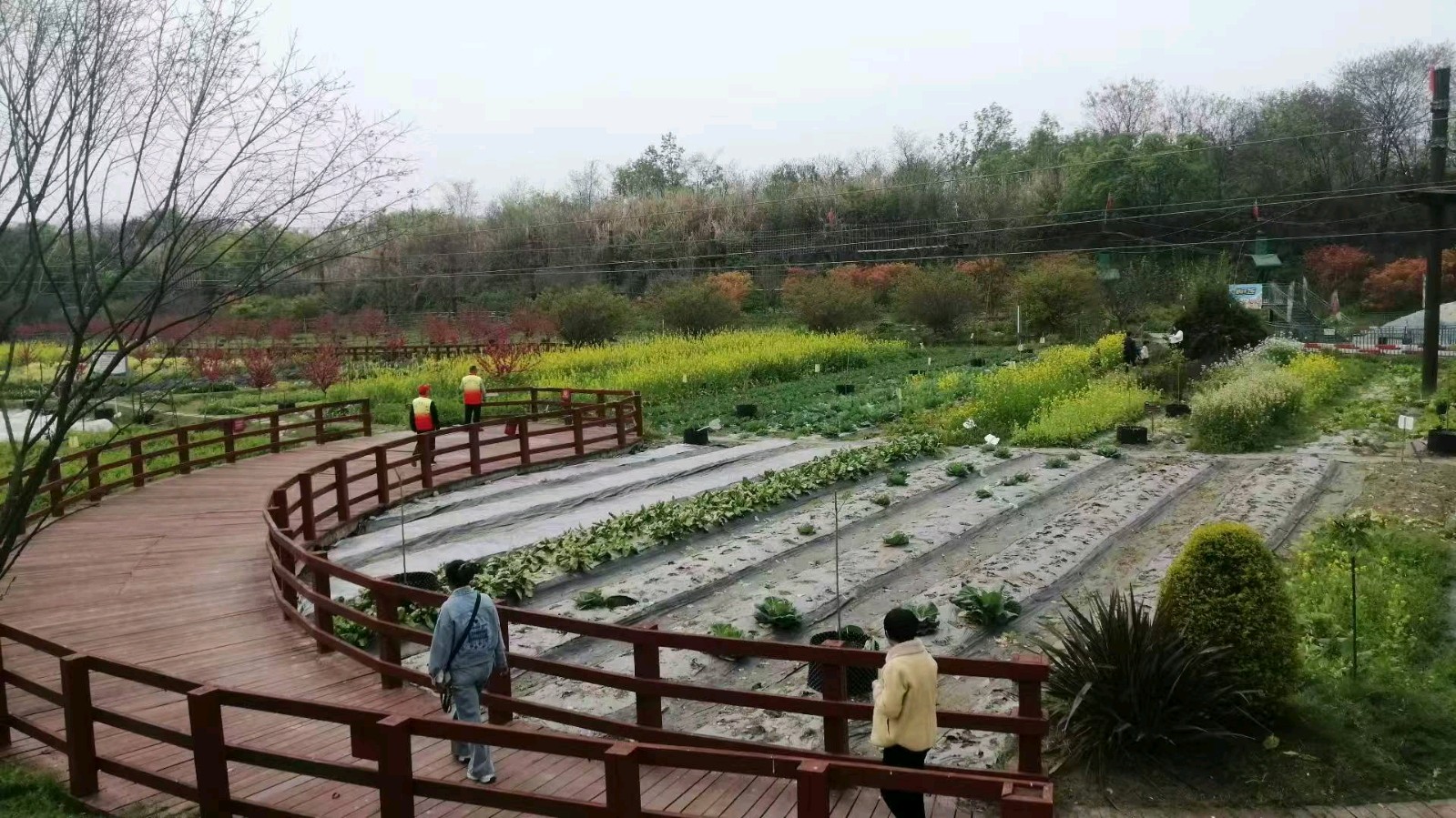 志愿者踏访乡村绿乐园 共绘乡村振兴新画卷（图4）