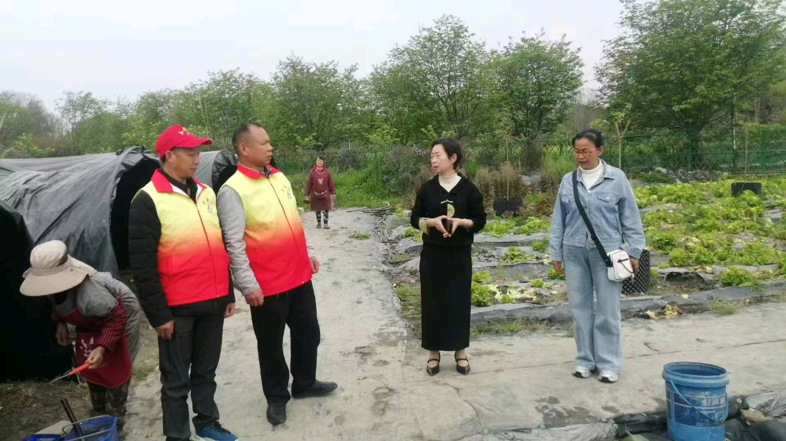志愿者踏访乡村绿乐园 共绘乡村振兴新画卷（图3）