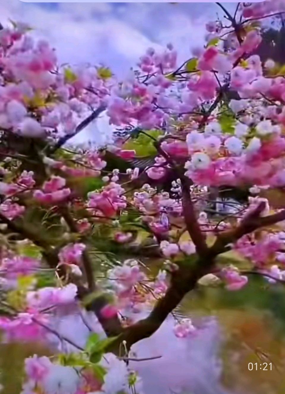 【都市头条向幸福出发编辑部】第15332期 爱自己 文 如月 影像 爵仕纳（图2）