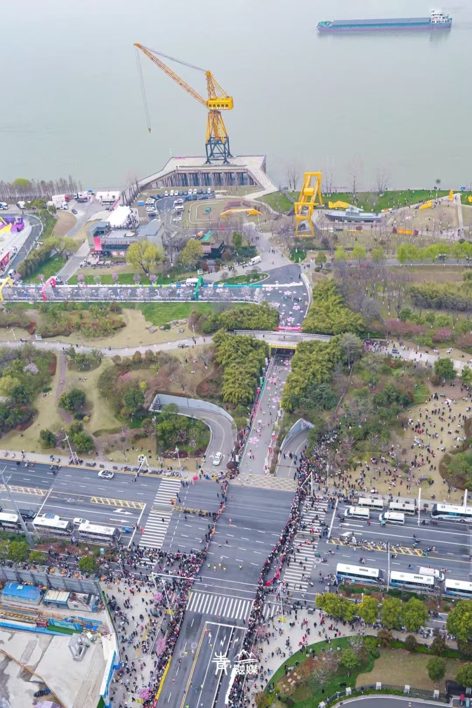 汉马跑到青山｜周智敏（图4）