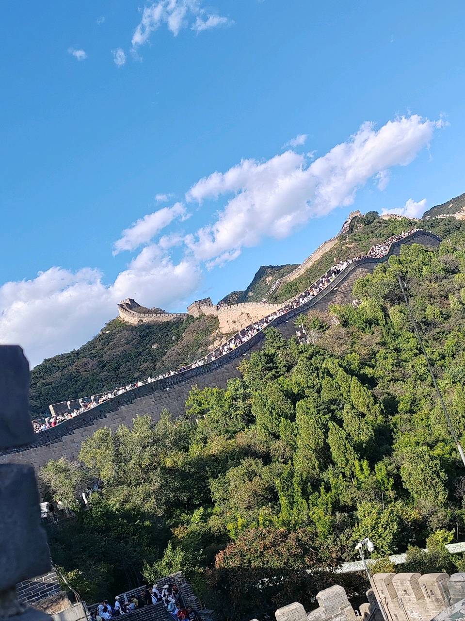聆听 ‖ 蓝莓朗诵《兰语寄幽‖初春花韵》作者/时光若蘭（图6）