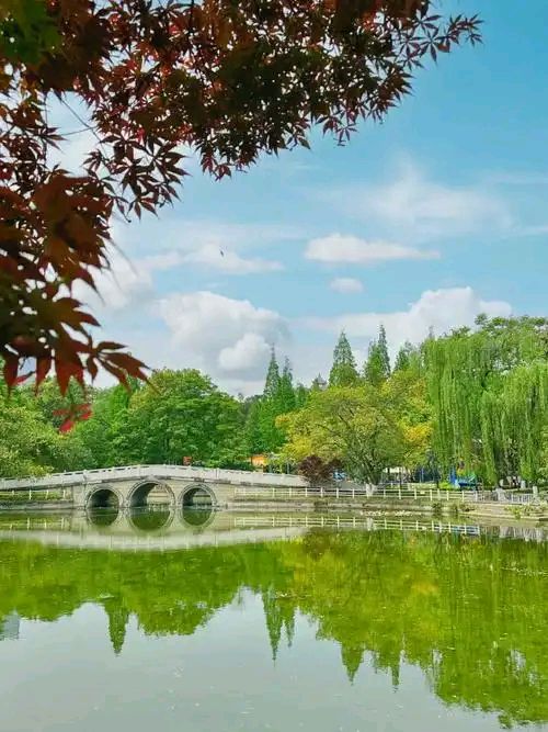 北京运河情文化传媒中心同题诵《春天里的中国》编辑：小鱼儿 【北京运河情】（第1236期）（图26）