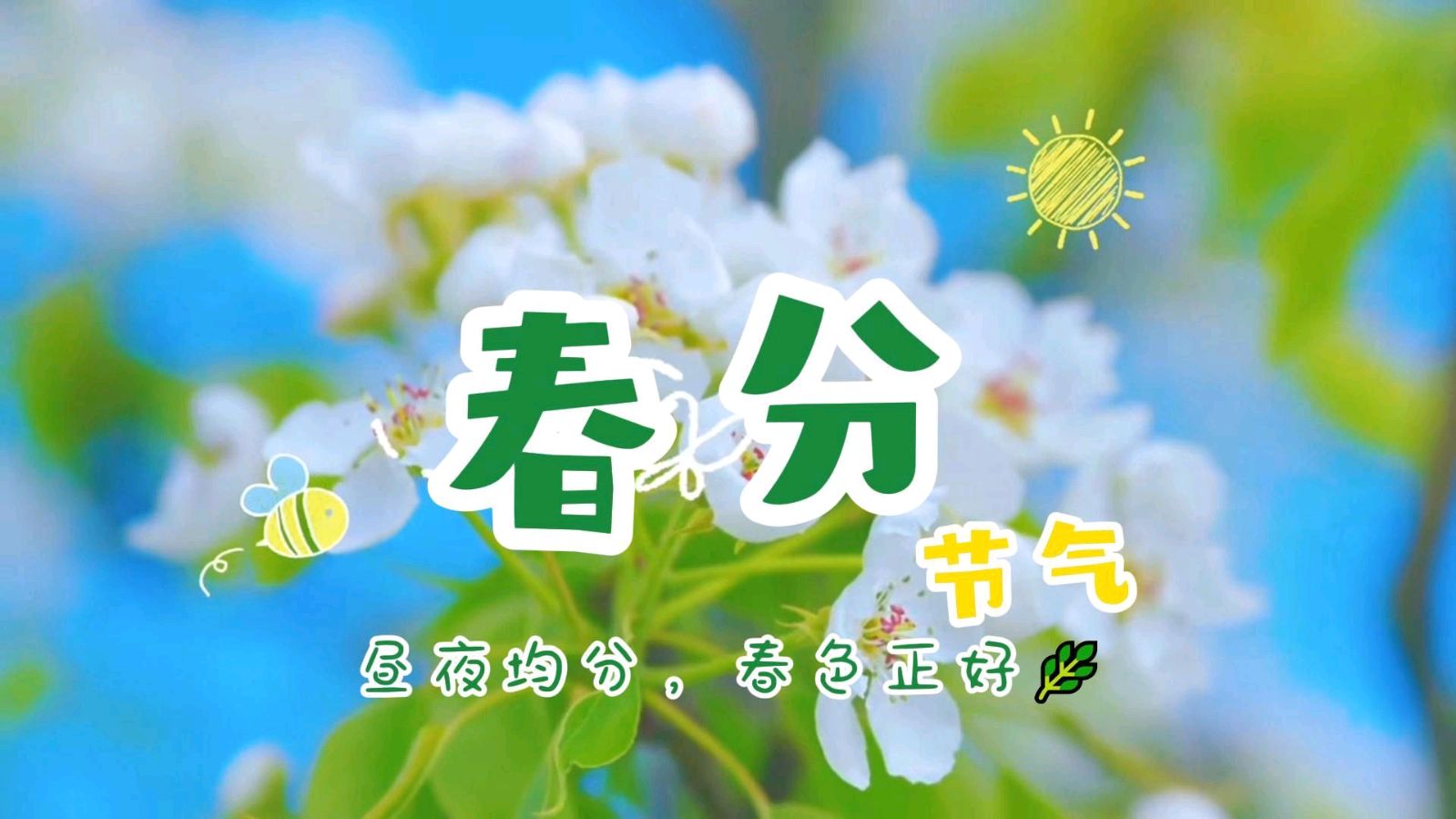 《🇨🇳中国人民诗刊》【开花的小路*外④首】(第4035期）山东诗人:蒲公英的诗（图6）