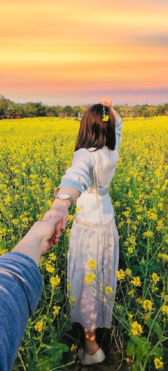 七律-唱起《花又期》李宣财（福建）（图20）