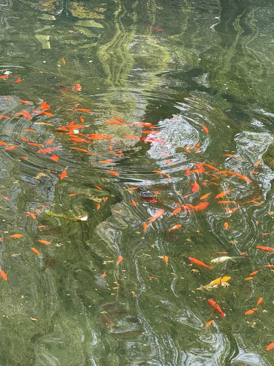 春来景色新（图8）