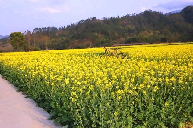 【荣耀中国】文学社*优秀诗人乡音随笔欣赏（图10）