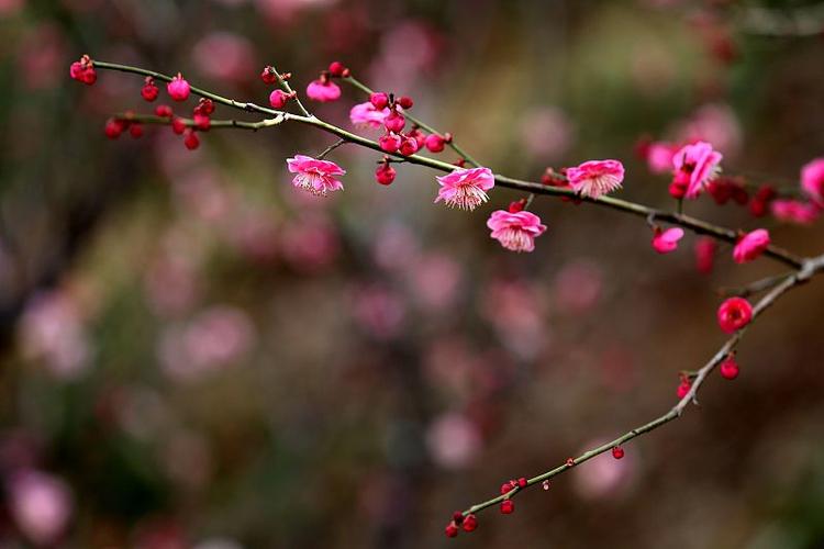 《组诗二首：春山新雨：春潮》文/付纪勇——贵州诗人