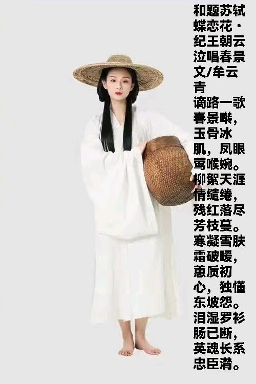 【荣耀中国】文学社*纪念苏东坡诞辰九百八十九周年二首|文/牟云青（山东龙口）（图6）