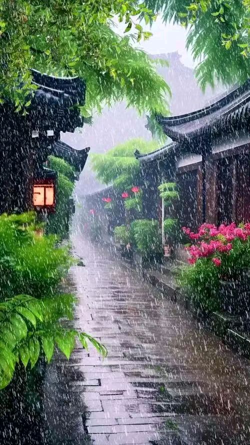 【荣耀中国】文学社*万菊芳题图诗第72期（图10）