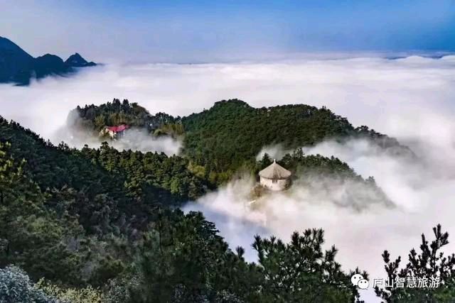 清水竹（翟珍）女士妙笔与君共赏（图2）