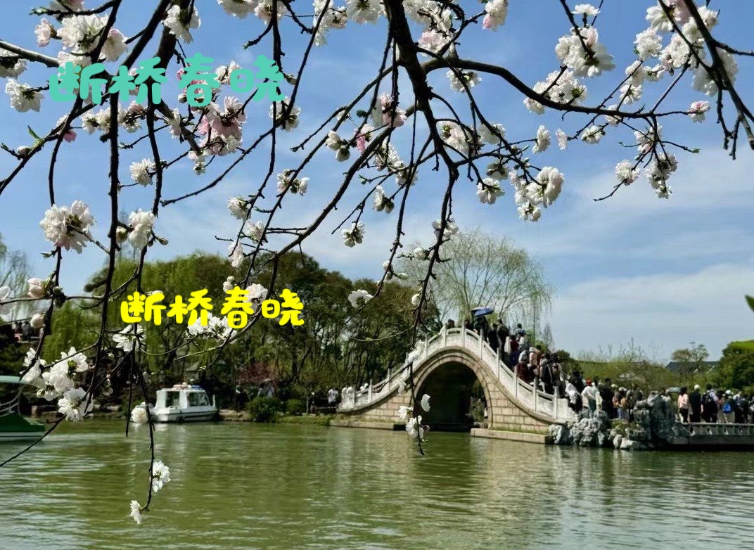 【名家赏评】谢莎散曲二首（图6）
