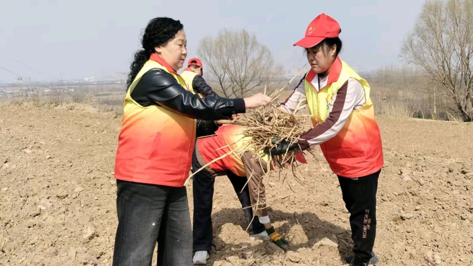 春耕时节志愿行 田间清芽助振兴（图3）