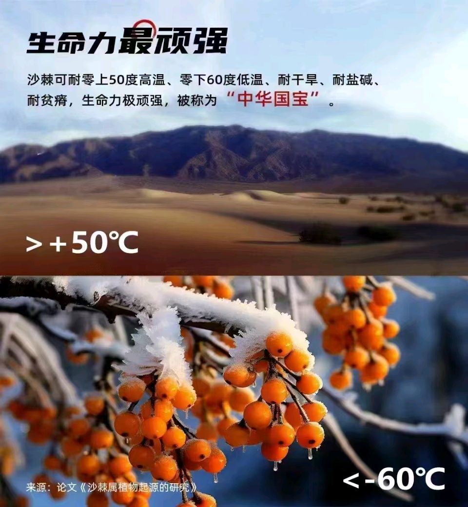 【老兵情怀】黄云川：坚定信念深耕宇航大健康产业*北京头条•西安头条•都市头条发布！（图46）