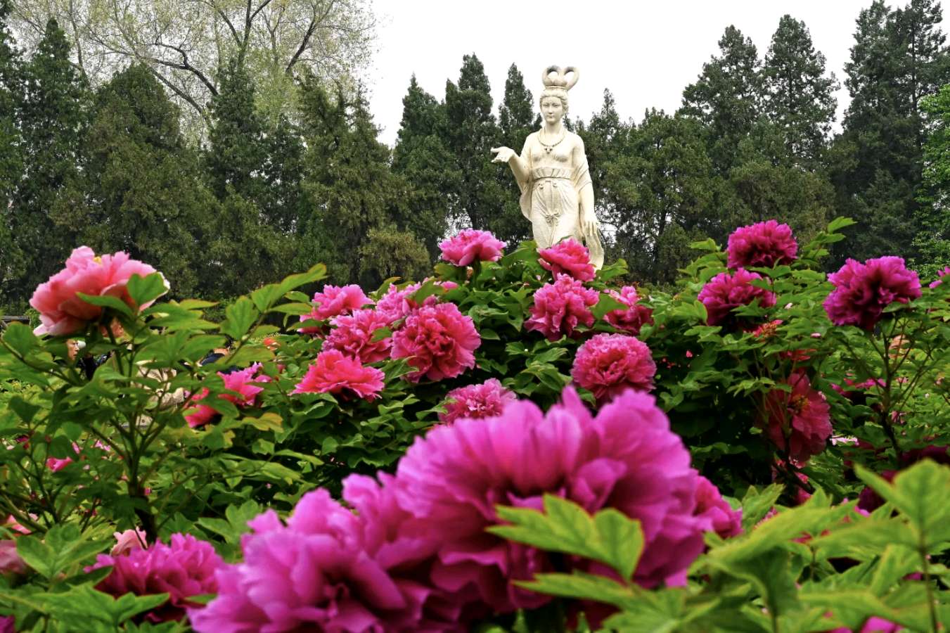 不问等待