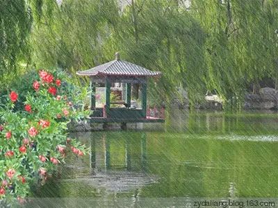 沁园春·春雨 作者:金鑫（图3）