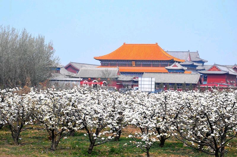 《七律》赞盘古梨花节《五绝》梨花颂(通韵)《七绝》梨花颂(通韵)《卜算子，盘古梨花节》(苏轼体)文/赵钟铭（图3）