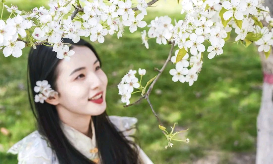 《七律》赞盘古梨花节《五绝》梨花颂(通韵)《七绝》梨花颂(通韵)《卜算子，盘古梨花节》(苏轼体)文/赵钟铭（图4）